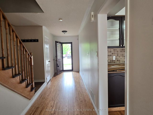 61 Palomino Place