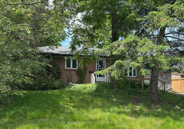 38 Ferguson Avenue