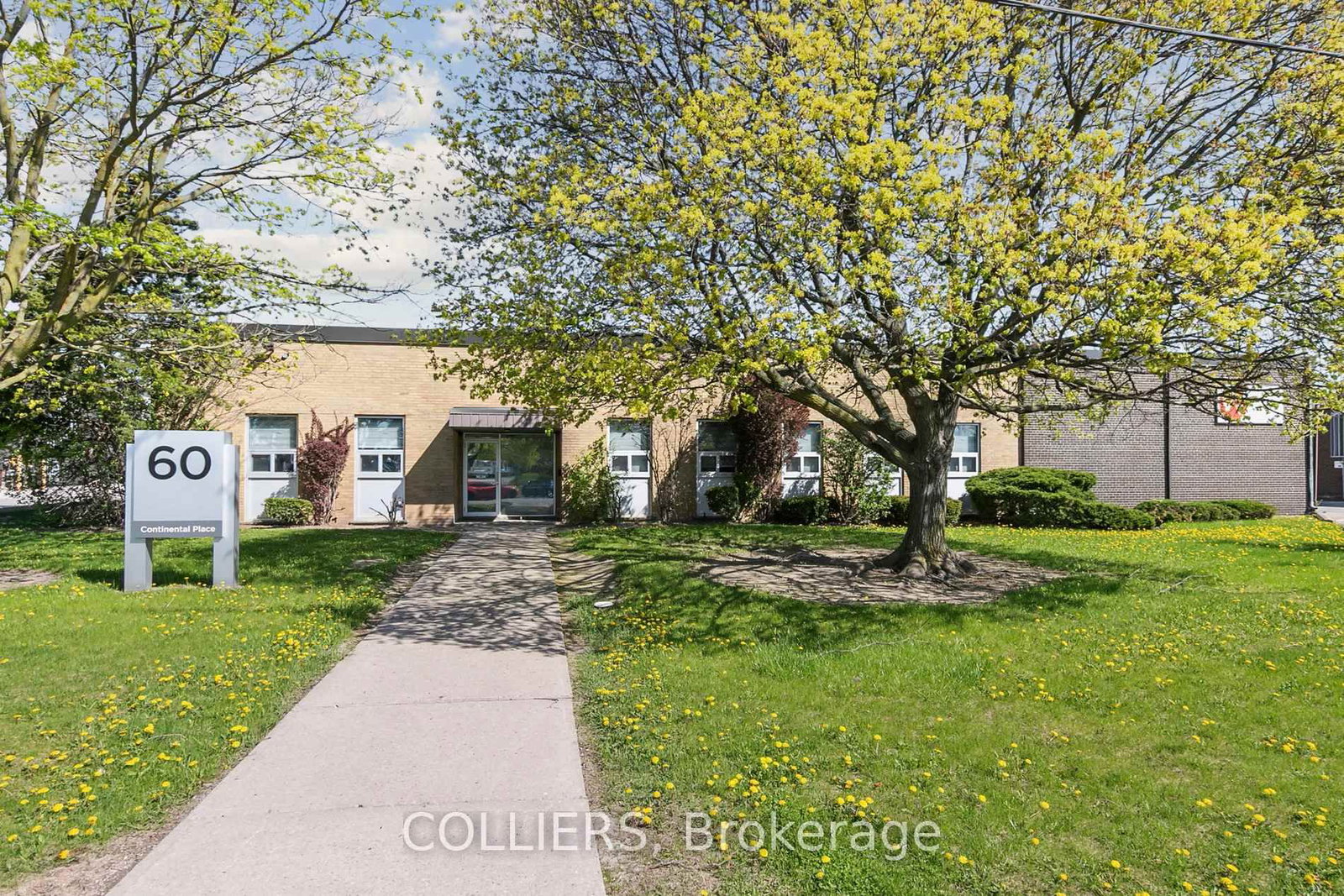 60 Continental Place - Photo 5