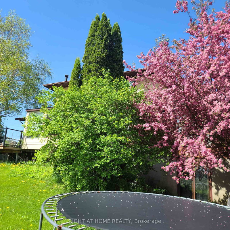 2853 Bellwood Dr, Clarington, L1B 0L5 | Image 3