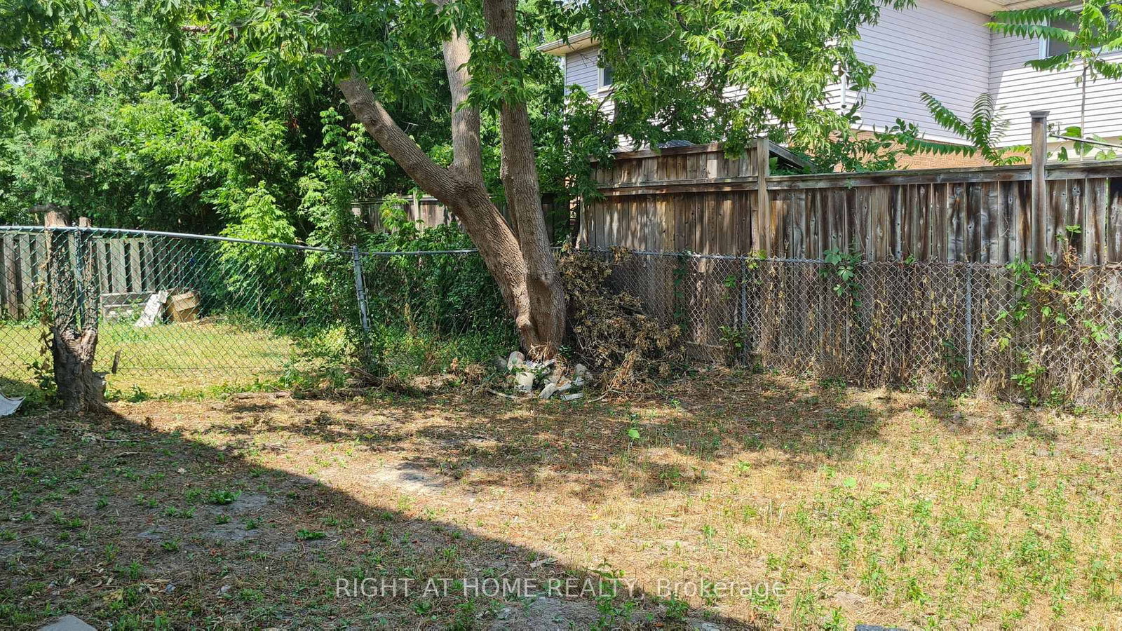 55 Littleleaf Drive, Unit RM B - Photo 7