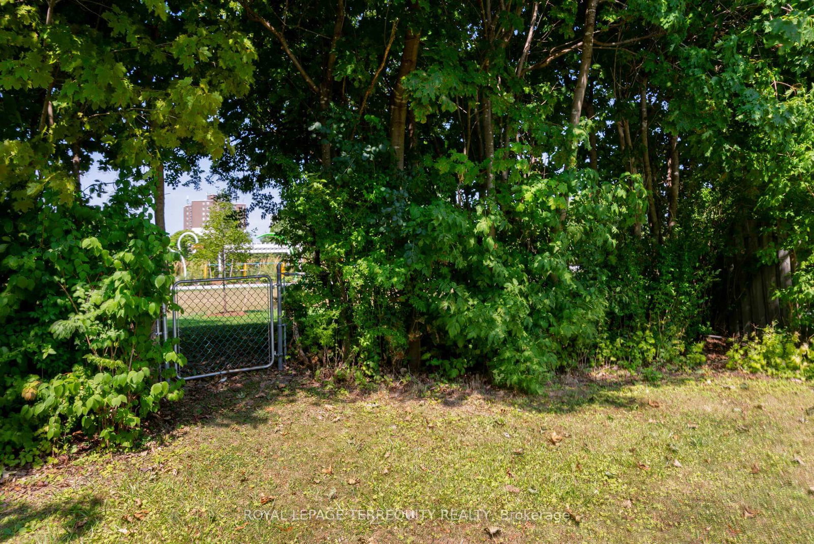 Listing Image 42