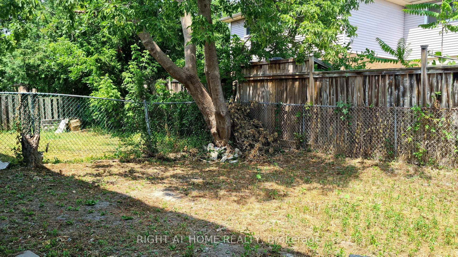 55 Littleleaf Drive, Unit RM D - Photo 8