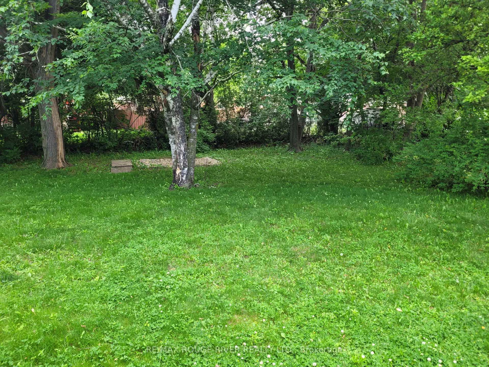 Listing Image 32