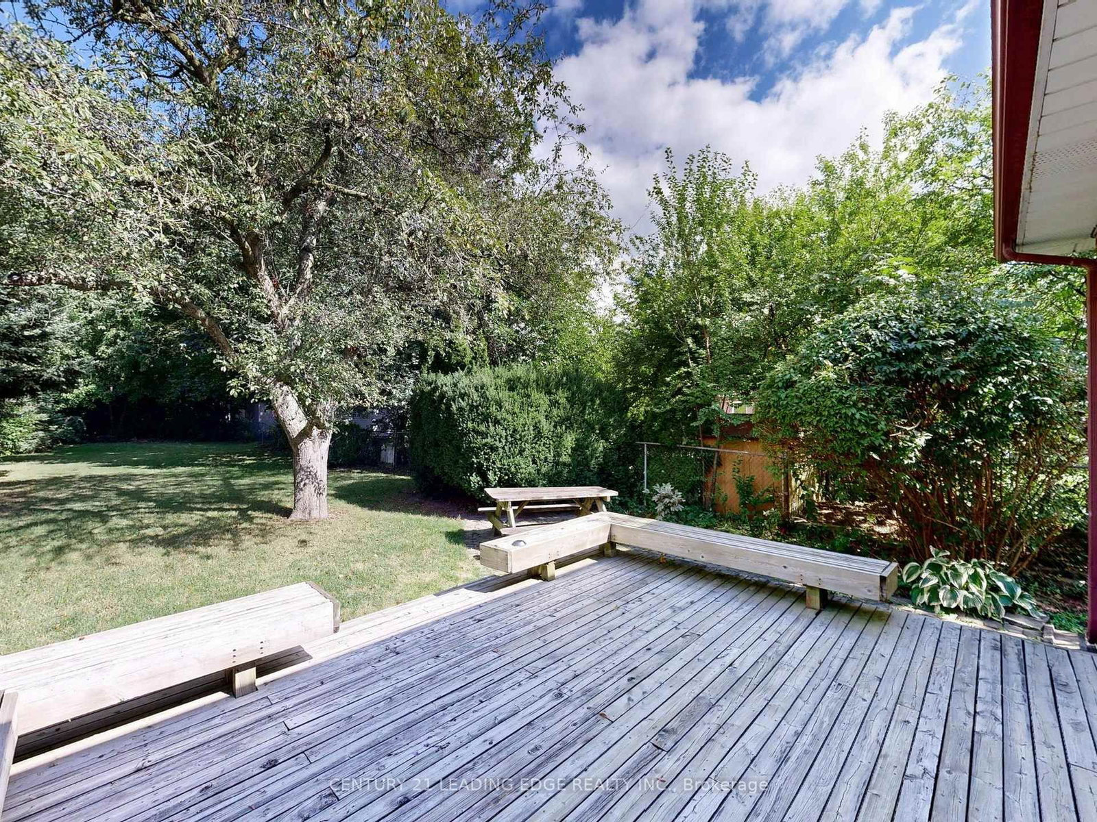 Listing Image 50
