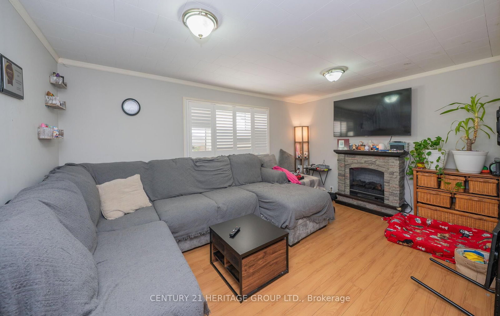 Listing Image 11