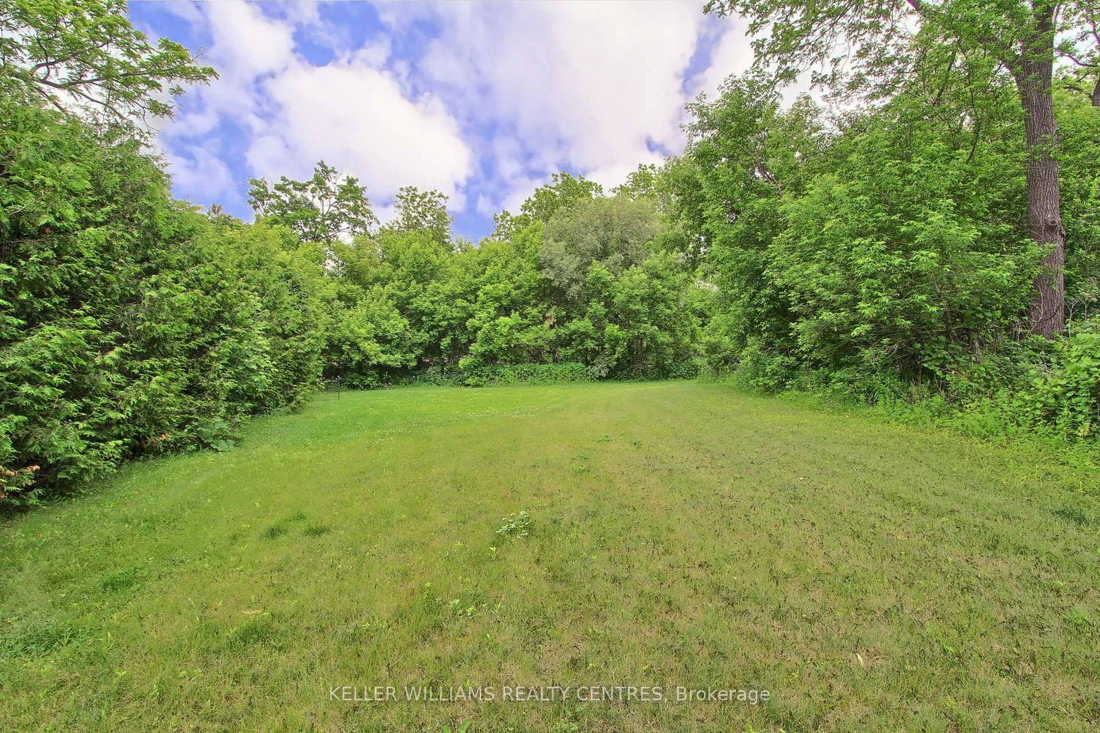 Listing Image 50