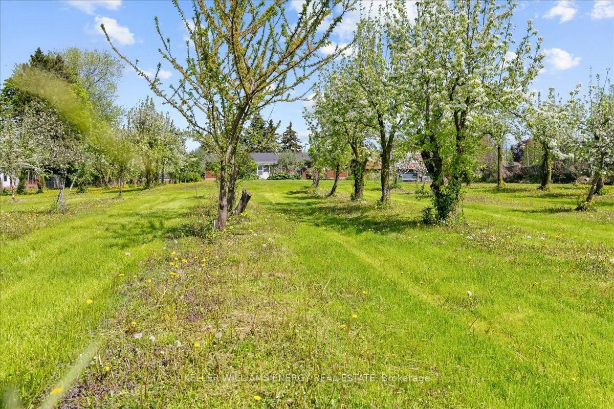 Listing Image 32