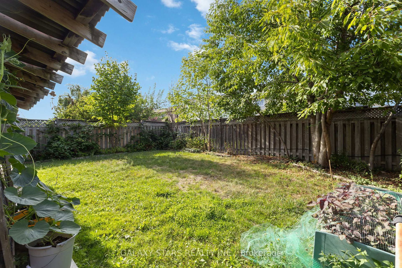 Listing Image 50