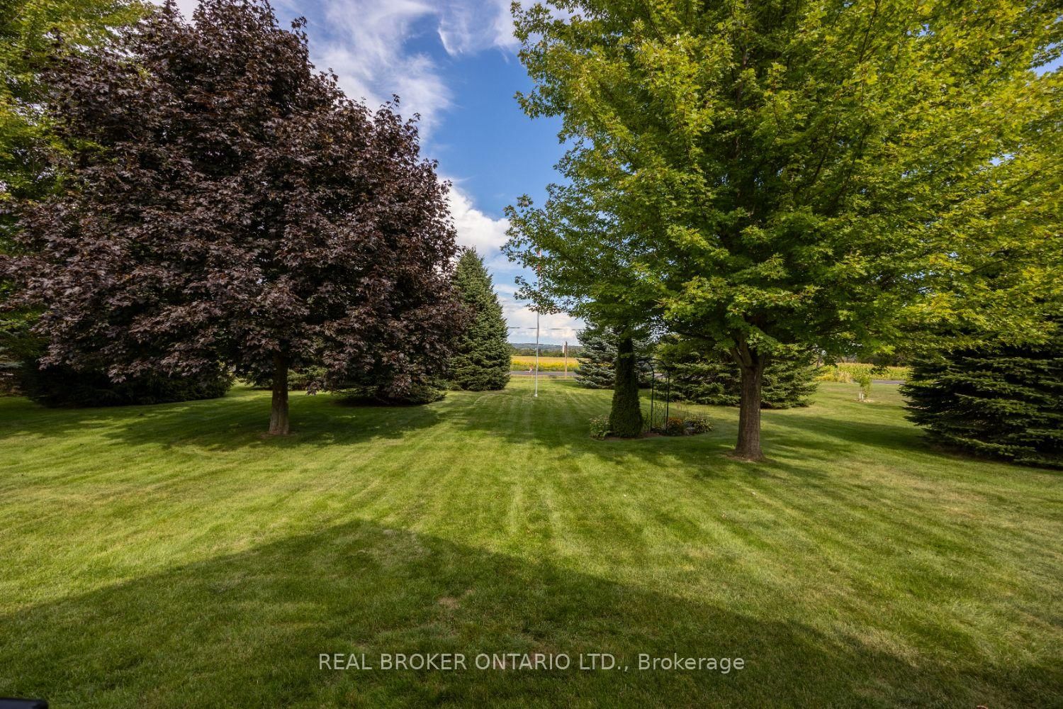 Listing Image 47