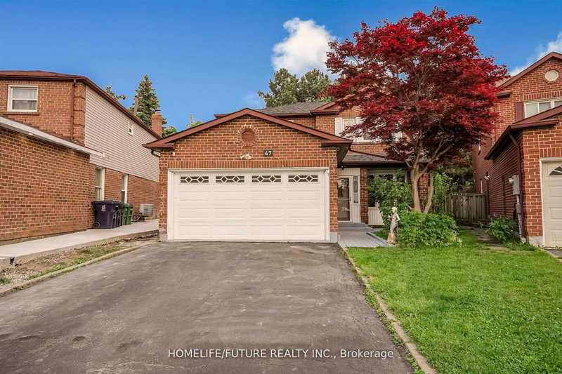 Bsmt - 47 Carisbrooke Sq, Toronto, M1B 4M5 | Image 2