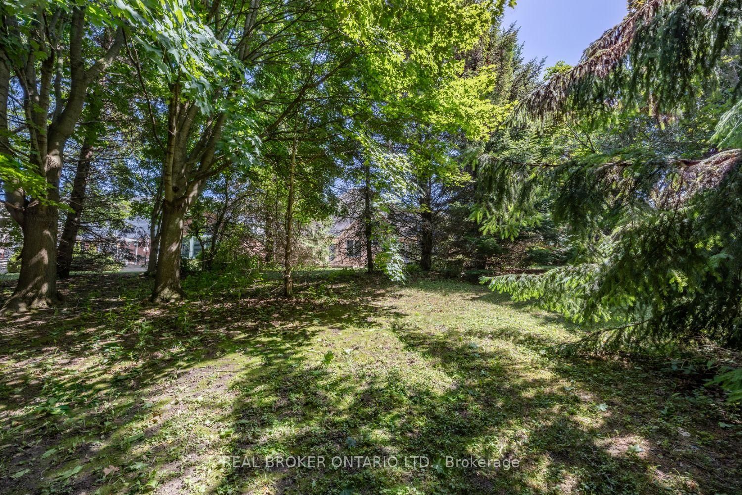 Listing Image 48