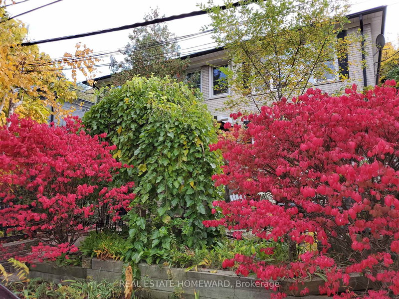 Main Floor - 21 Love Cres, Toronto, M4E 1V6 | Image 2