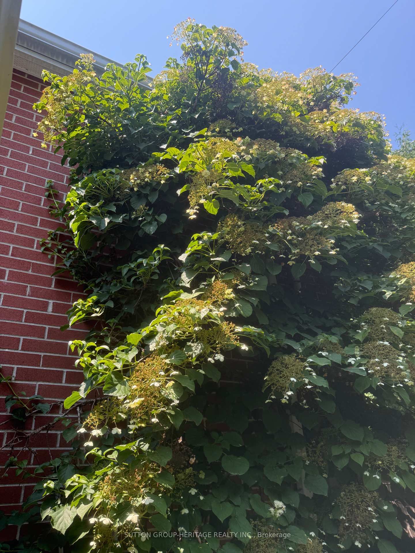 Detached House for sale at 3135 Concession 9 Road, Pickering, Ontario, L0B 1A0 - Rural Pickering - MLS: E12705988