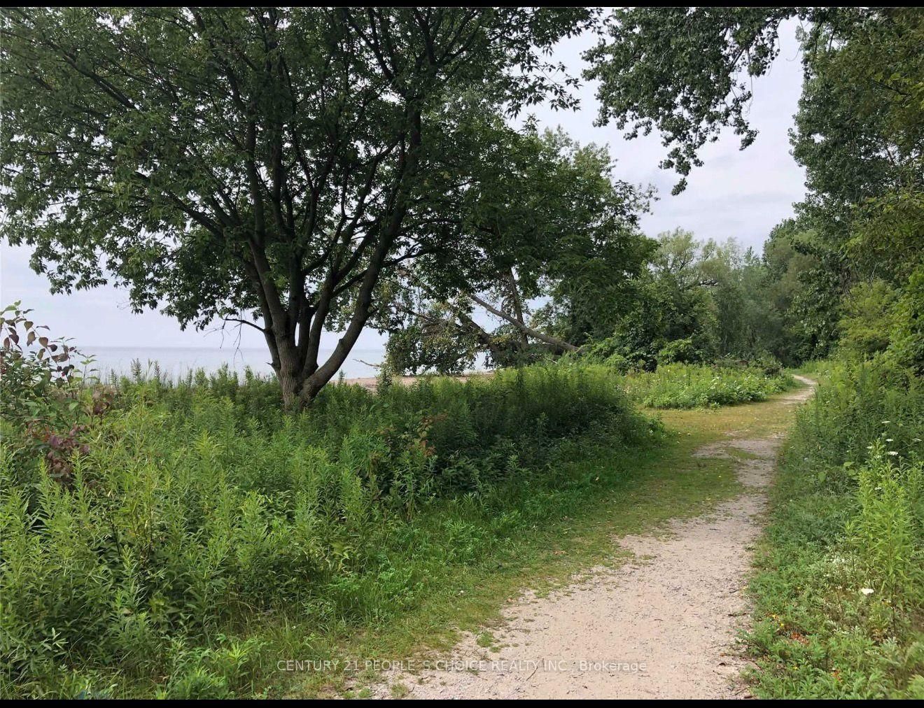 18 Lighthouse Street, Unit BSMT - Photo 21