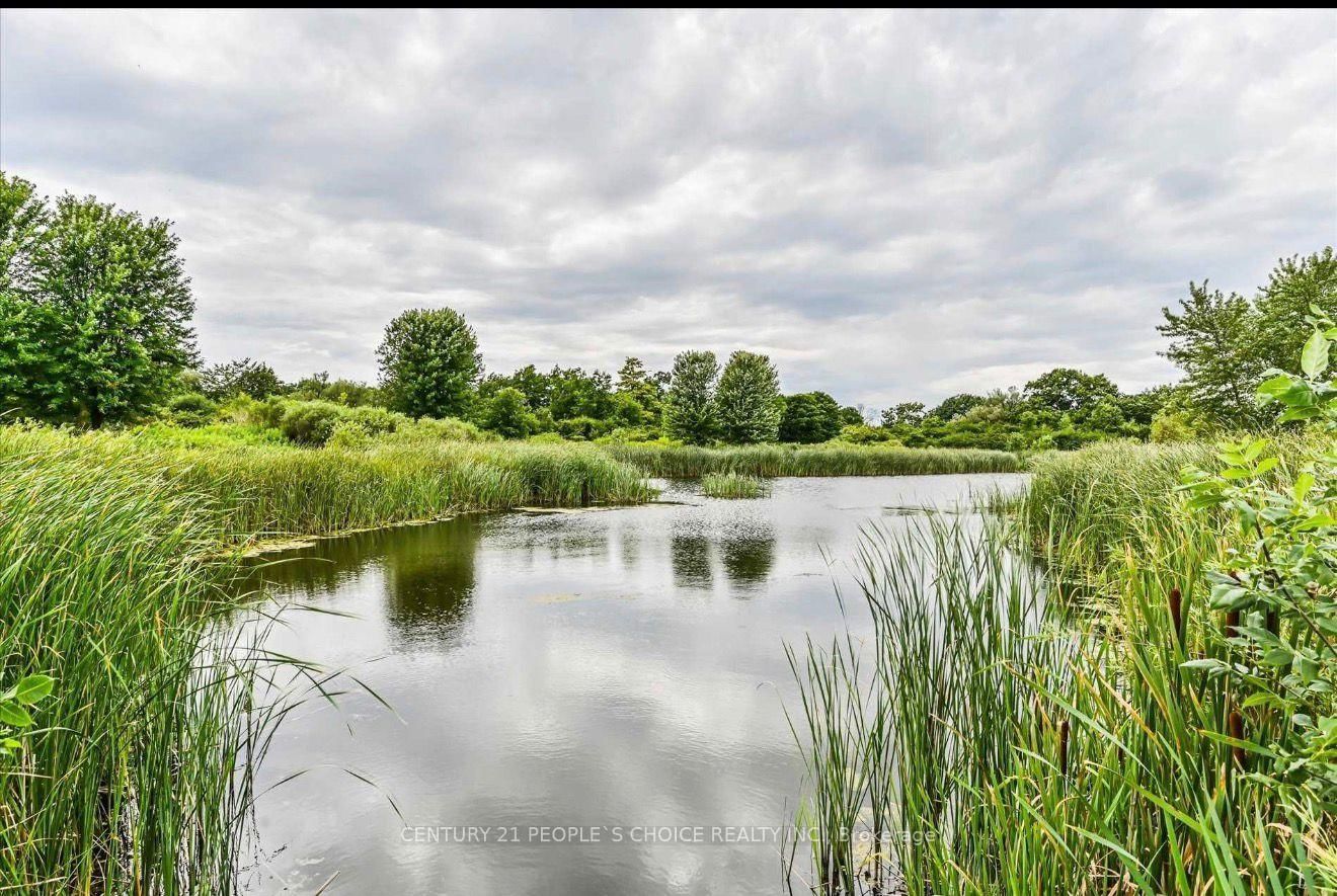 18 Lighthouse Street, Unit BSMT - Photo 22