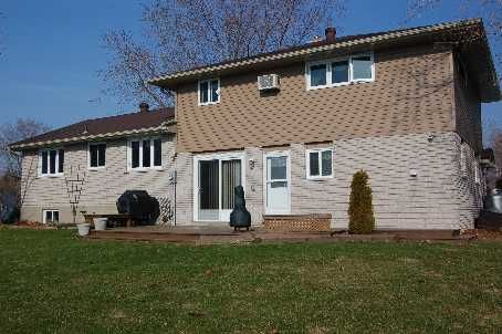 47 Newman Rd, Kawartha Lakes, K0M2C0 | Image 2