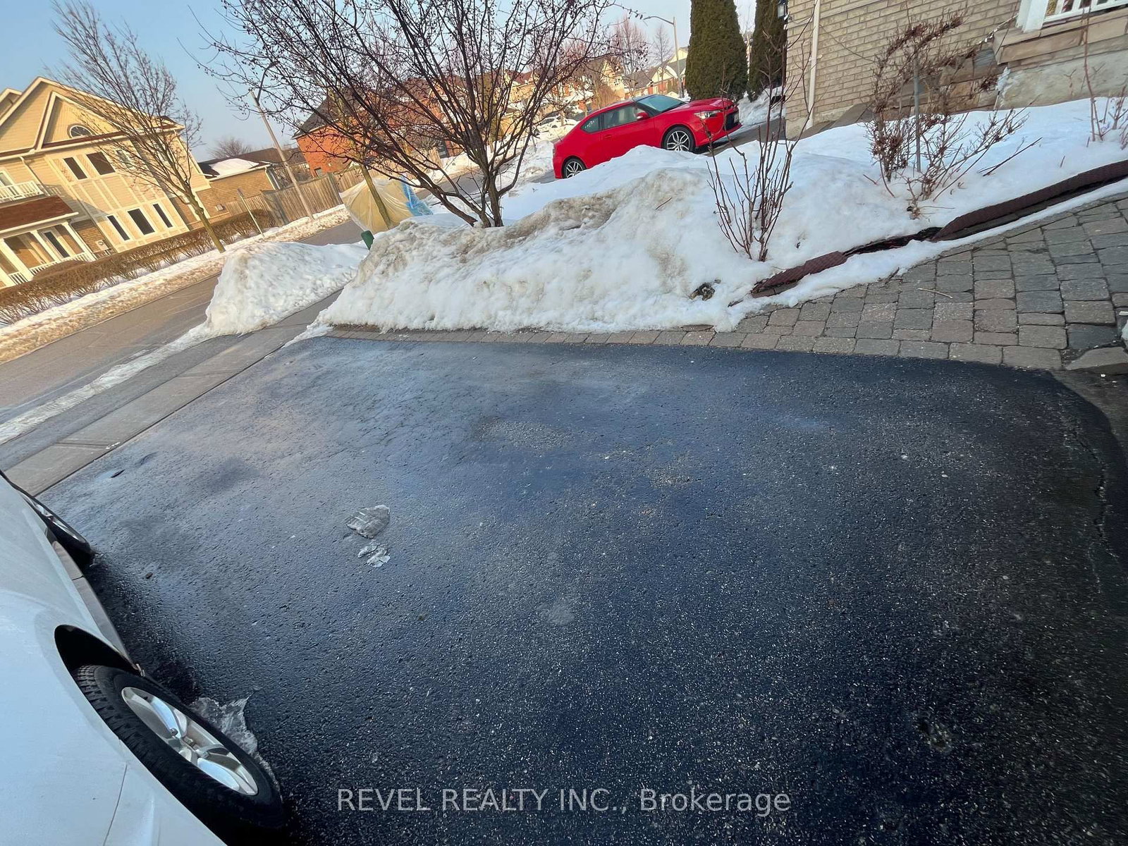 Detached House for lease at Basement-194 Willowbrook Drive, Whitby, Ontario, L1R 3C3 - Pringle Creek - MLS: E12804542