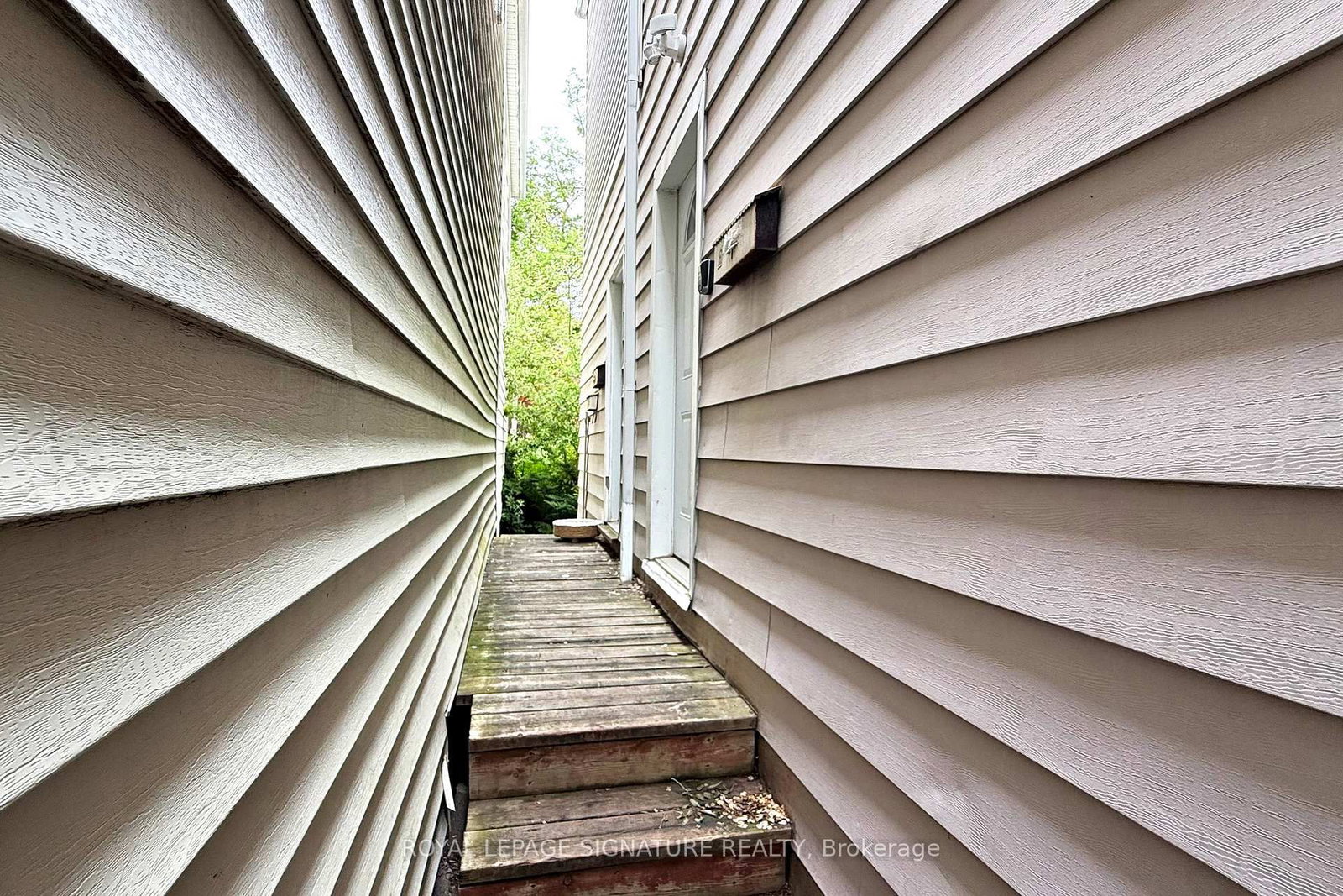 Detached House for lease at Main-117 Hampton Avenue, Toronto, Ontario, M4K 2Z2 - North Riverdale - MLS: E12839096