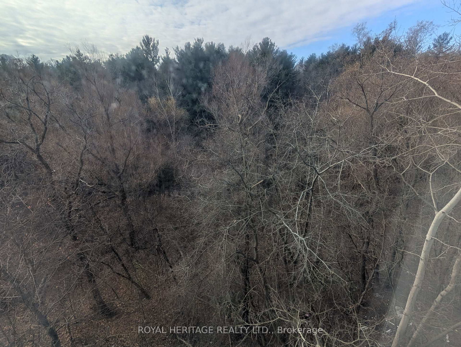 Condo for lease at 509-3050 Ellesmere Road, Toronto, Ontario, M1E 5E6 - Morningside - MLS: E12849170