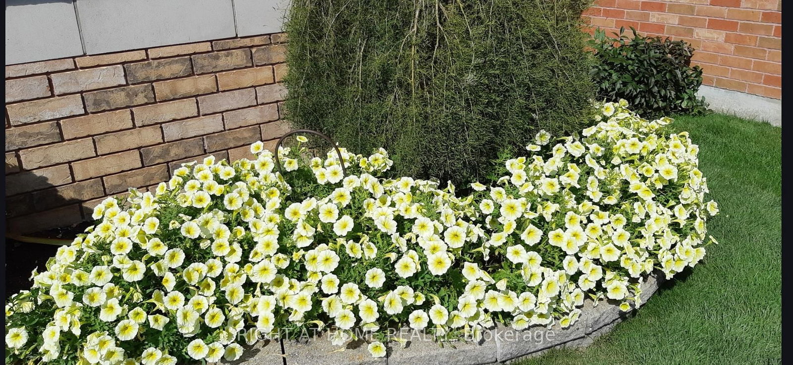 Detached House for sale at 295 Waterbury Crescent, Scugog, Ontario, L9L 1S5 - Port Perry - MLS: E12860226