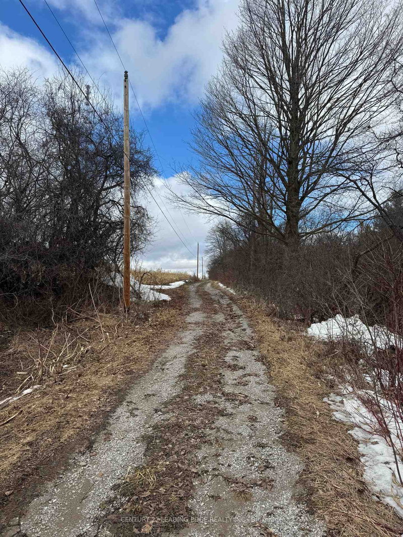 8700 Coronation Rd, Whitby, L0B 1A0 | Image 3