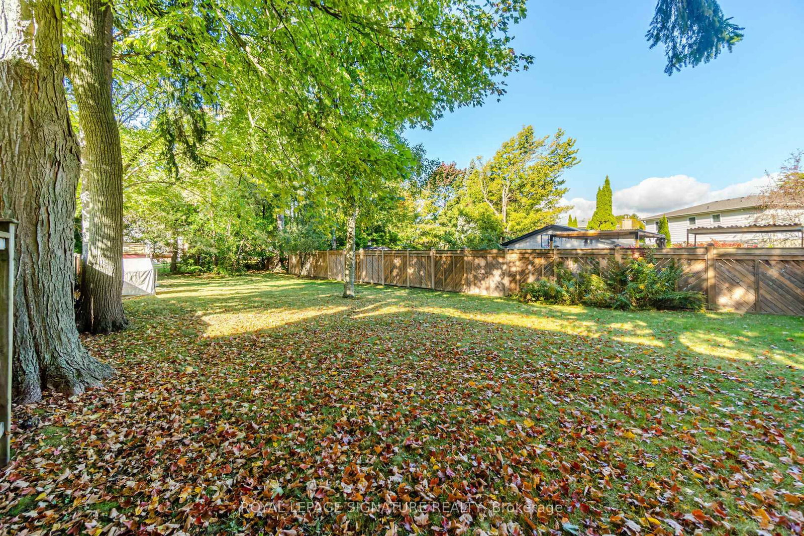 Detached House for lease at 34 Ivan Road, Toronto, Ontario, M1C 1V2 - Centennial Scarborough - MLS: E12875618