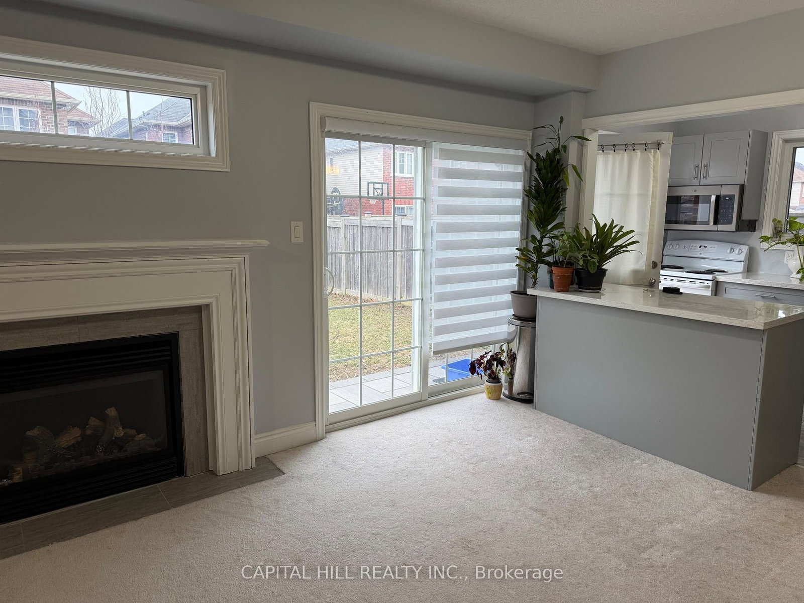 21 Crellin Street, Unit Ground +Lower - Photo 3