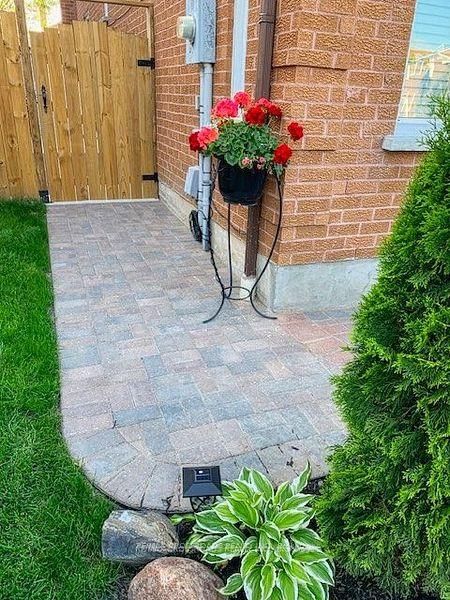 61 Silverbirch Pl, Whitby, L1R 1X6 | Image 3