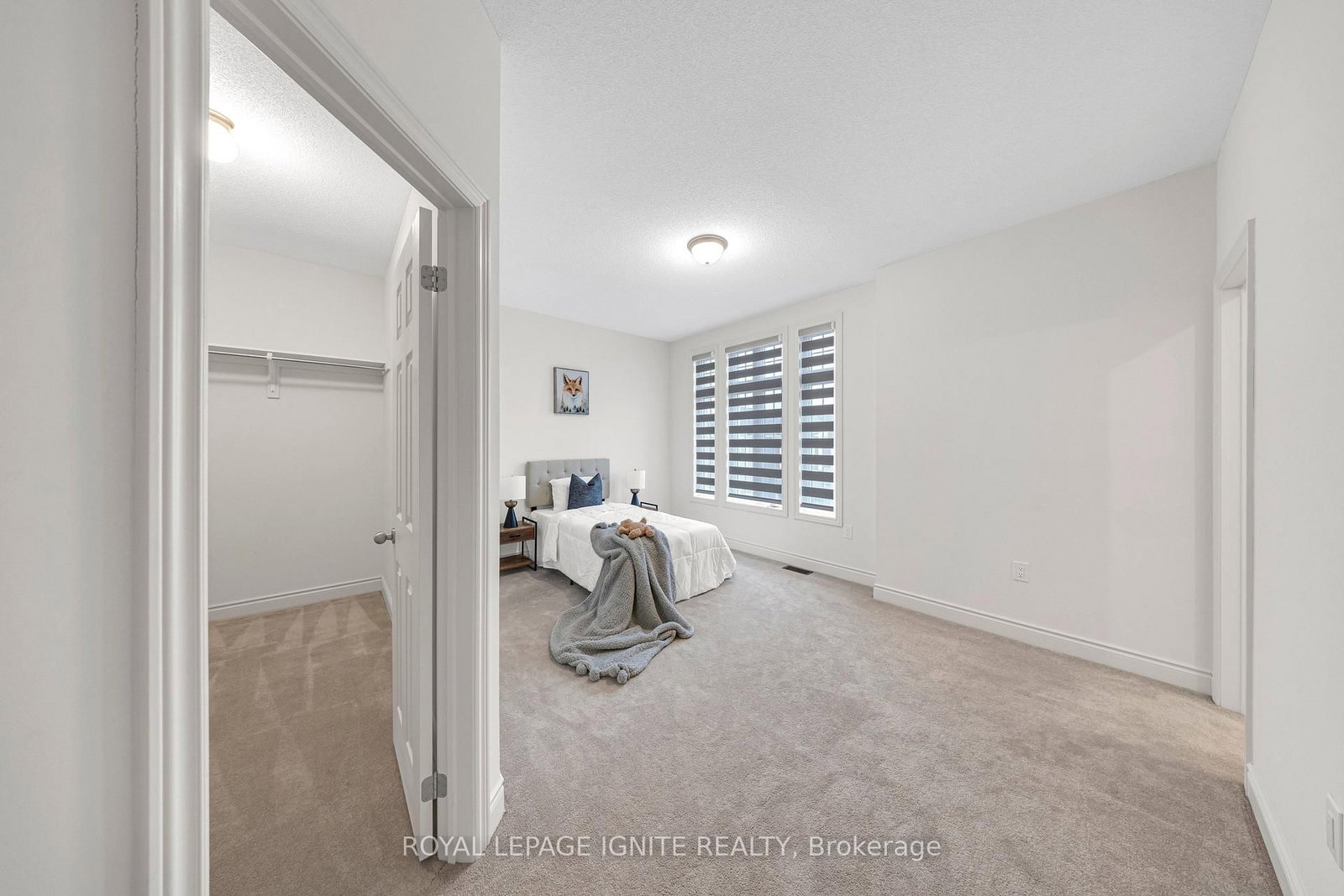 3 Creedon Crescent - Photo 32