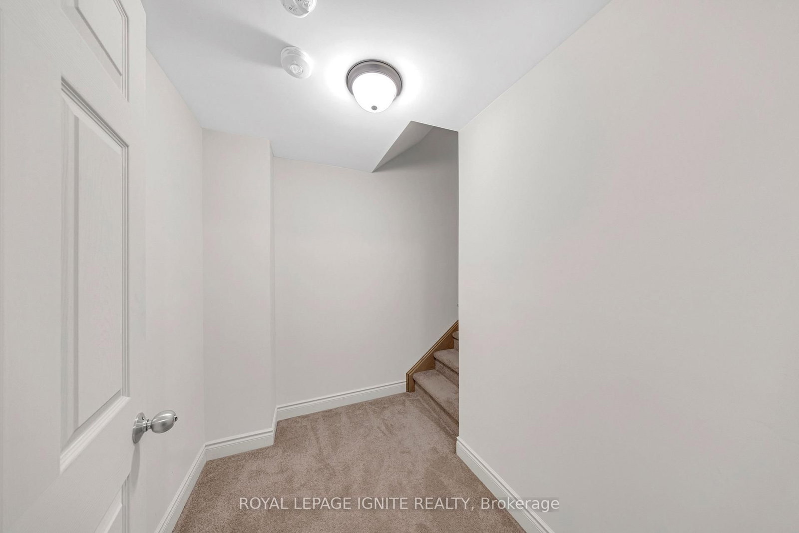 3 Creedon Crescent - Photo 39