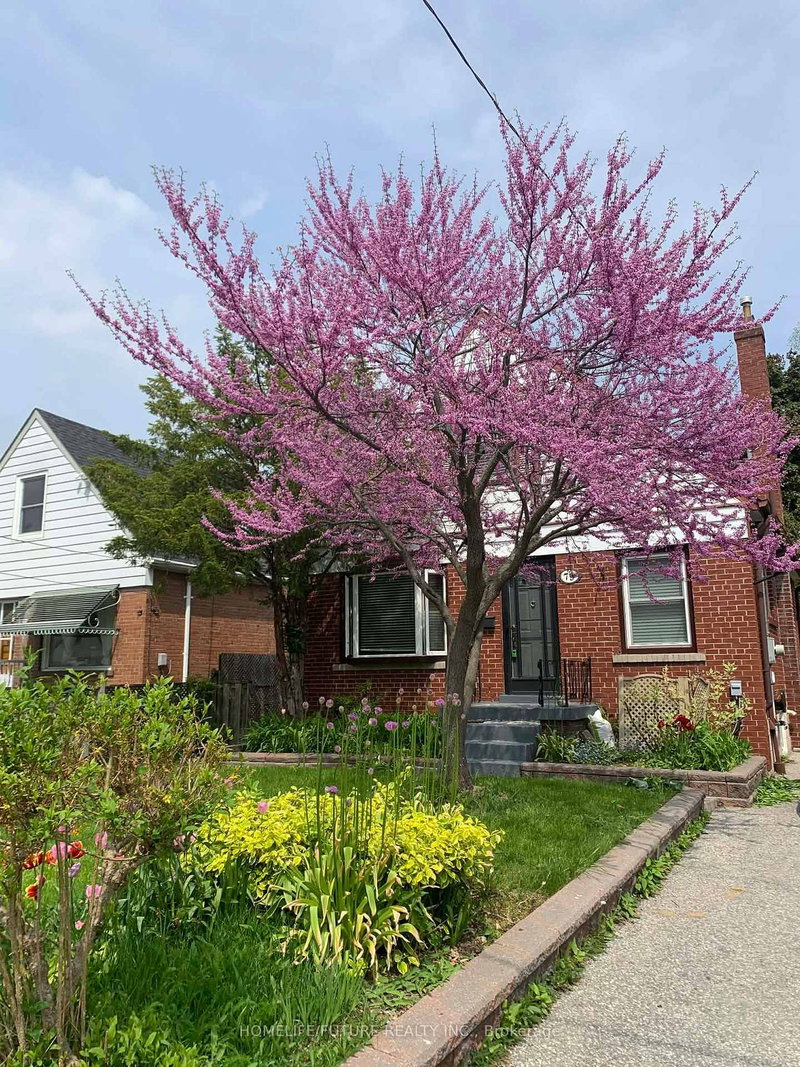 79 Ellington Dr, Toronto, M1R 3Y2 | Image 3