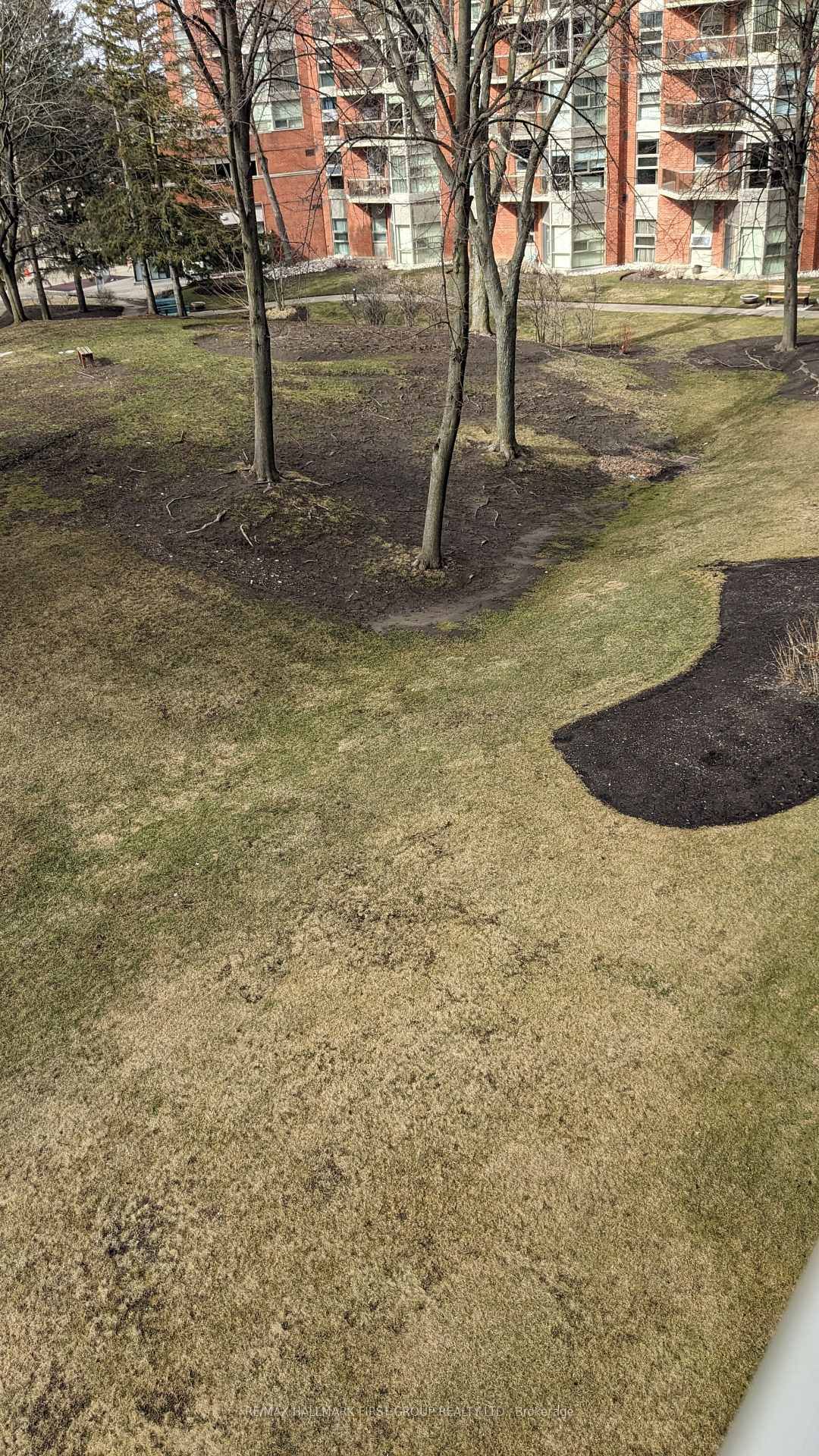 20 Dean Park Road, Unit 419 - Photo 15