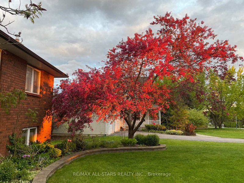 242 Stephenson Point Rd, Scugog, L9L 1B4 | Image 3