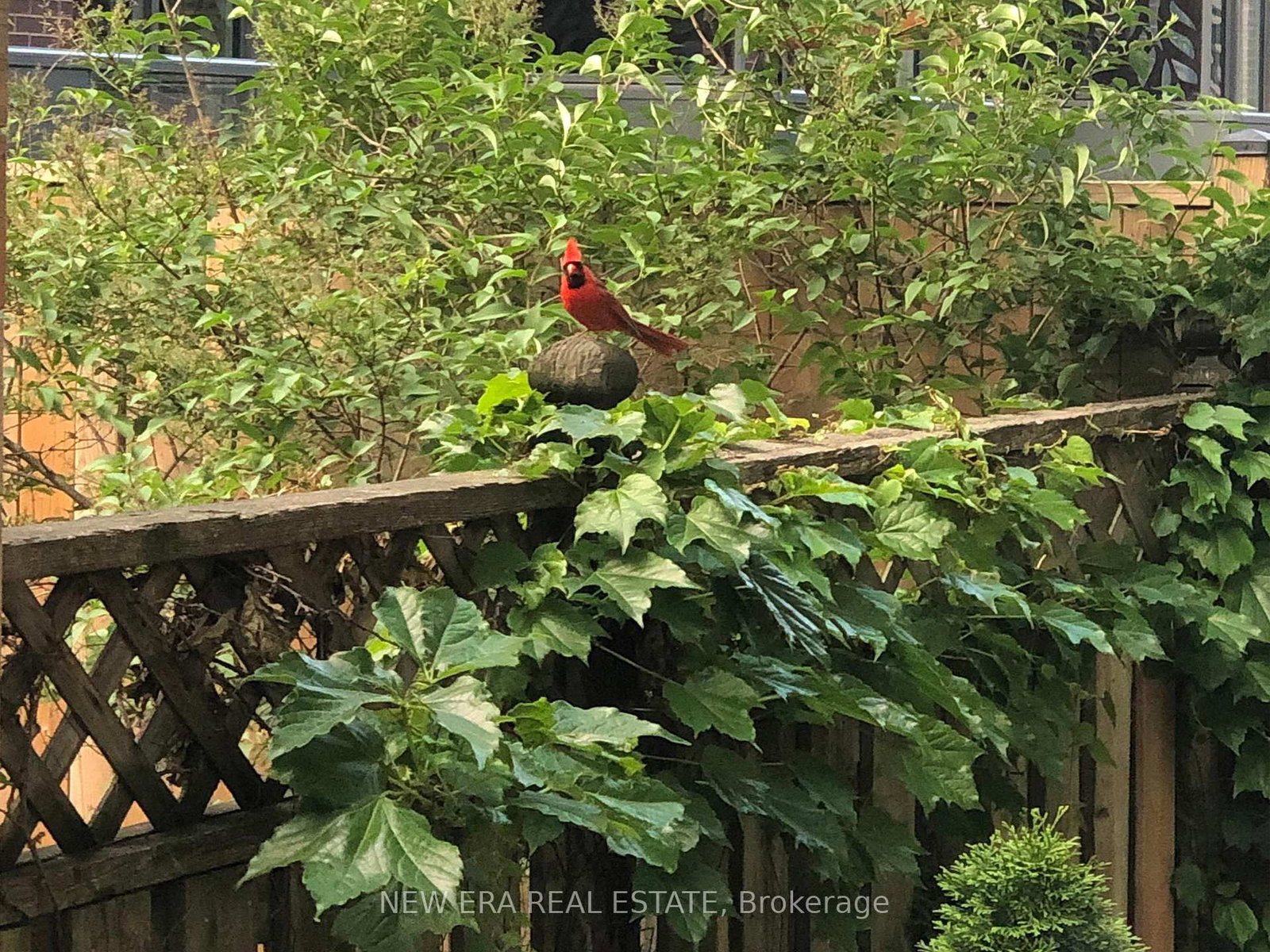 75 Laing Street - Photo 37