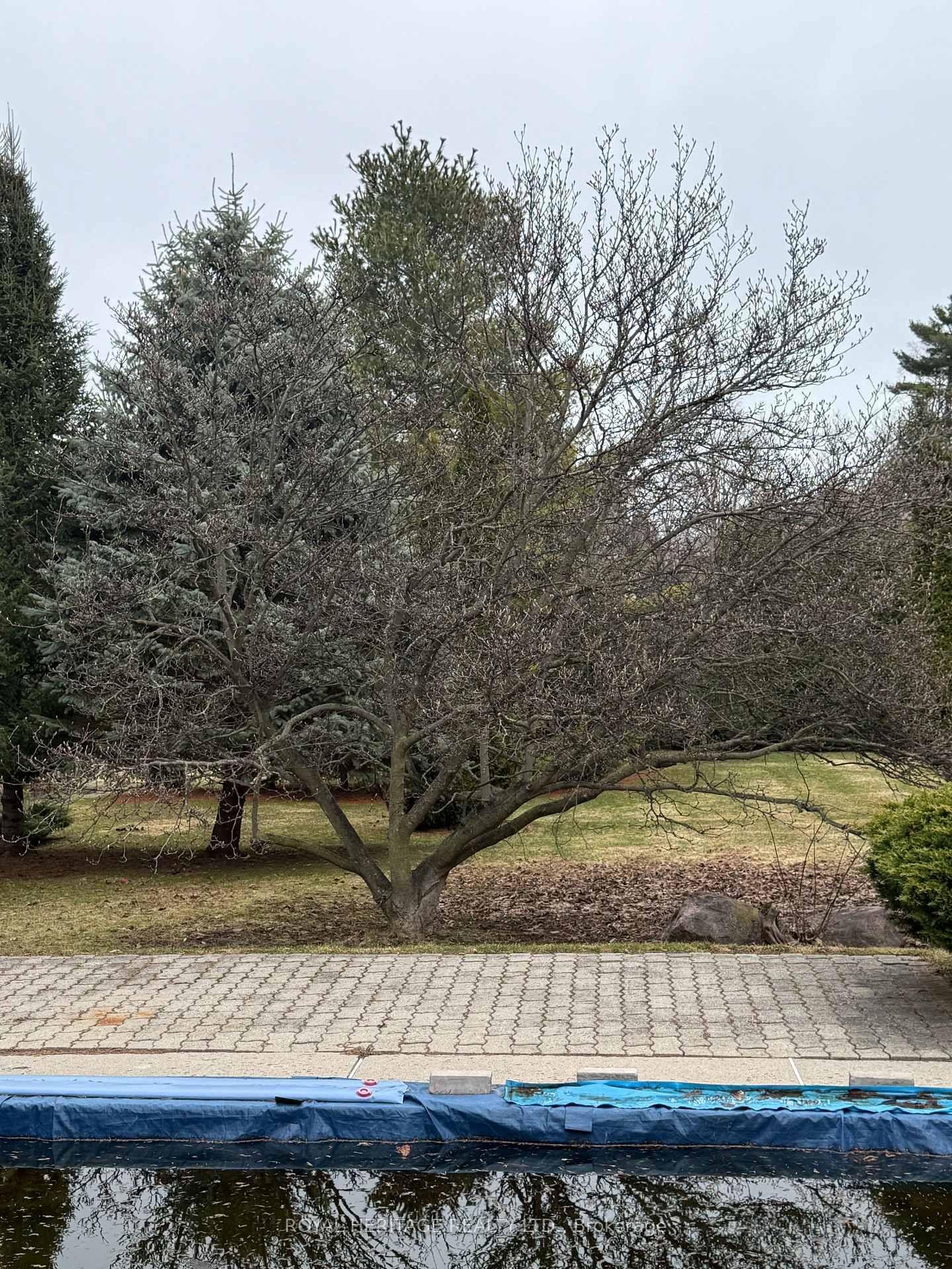 527 Rougemount Drive - Photo 9