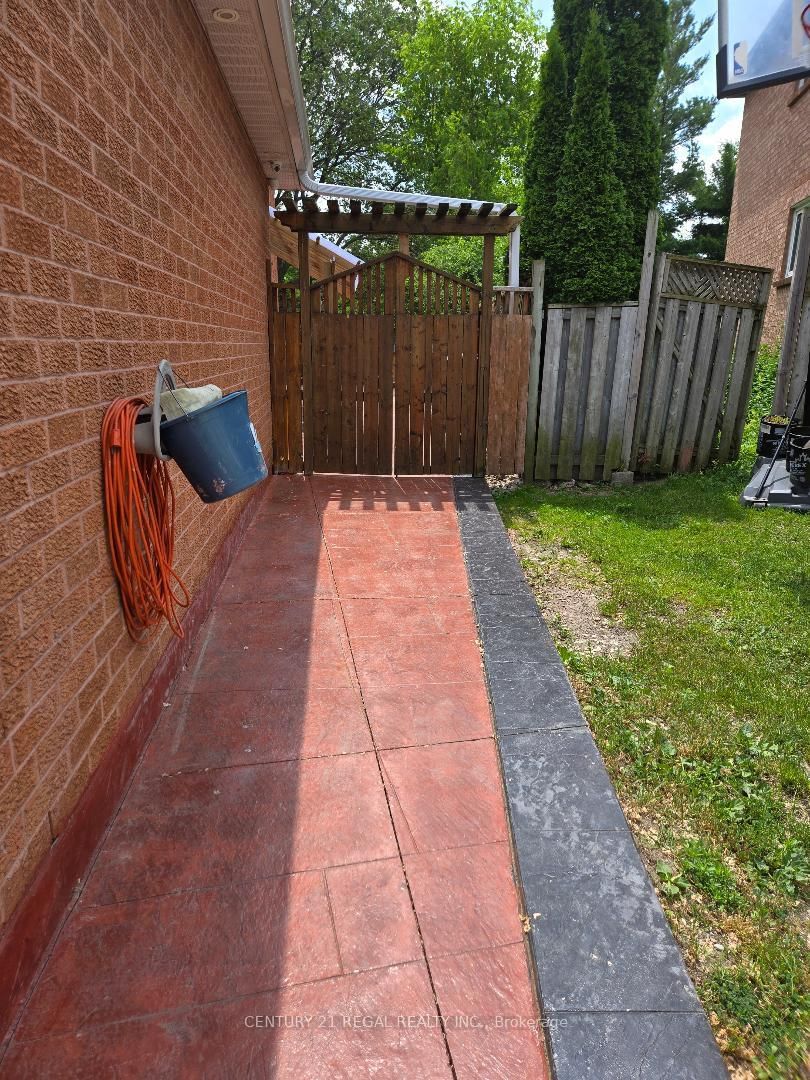 Detached House for lease at Basement-38 Lamay Crescent, Toronto, Ontario, M1X 1J6 - Rouge E11 - MLS: E12966734