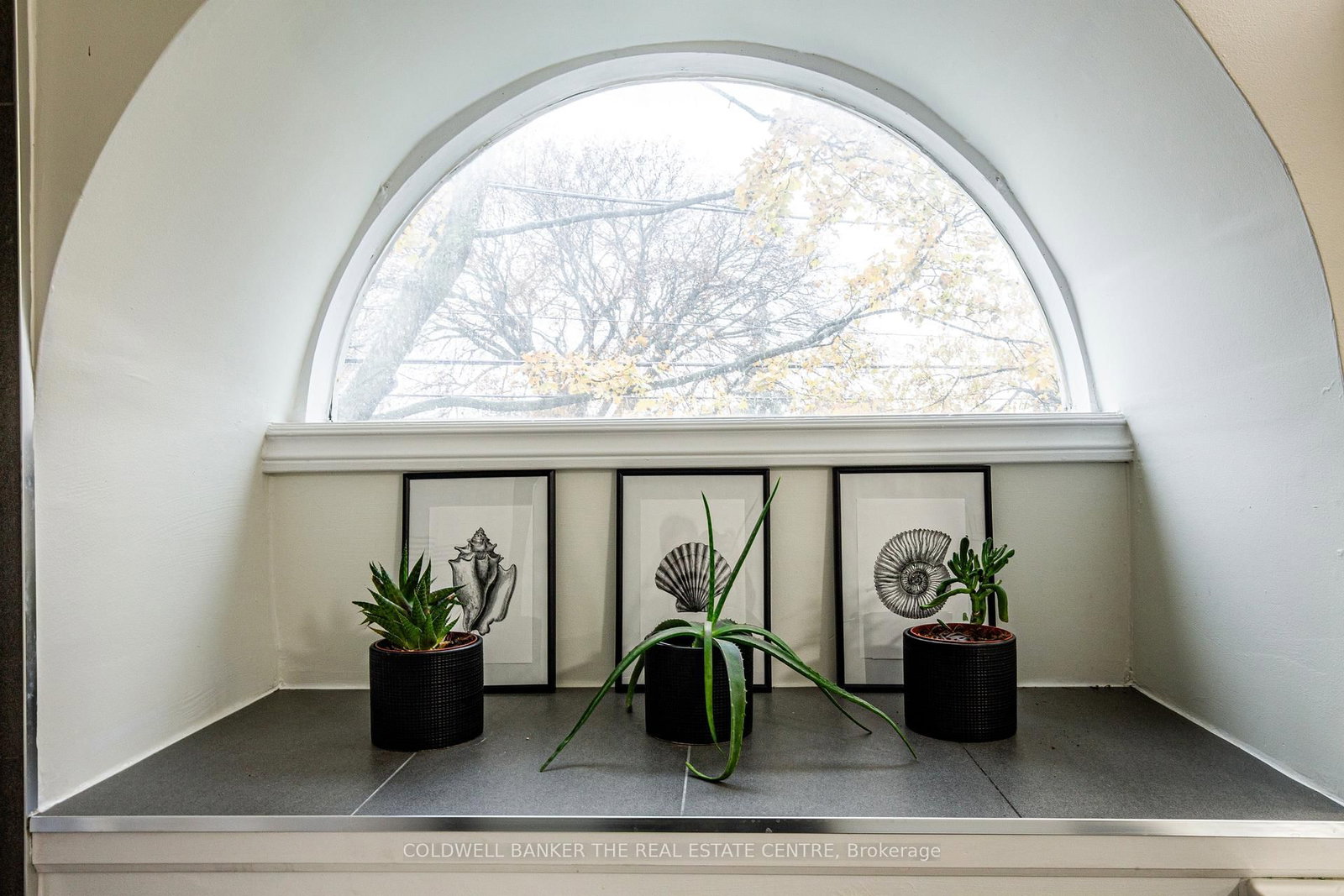 Detached House for sale at 6-45 Birchmount Road, Toronto, Ontario, M1N 3J5 - Birchcliffe-Cliffside - MLS: E12968734