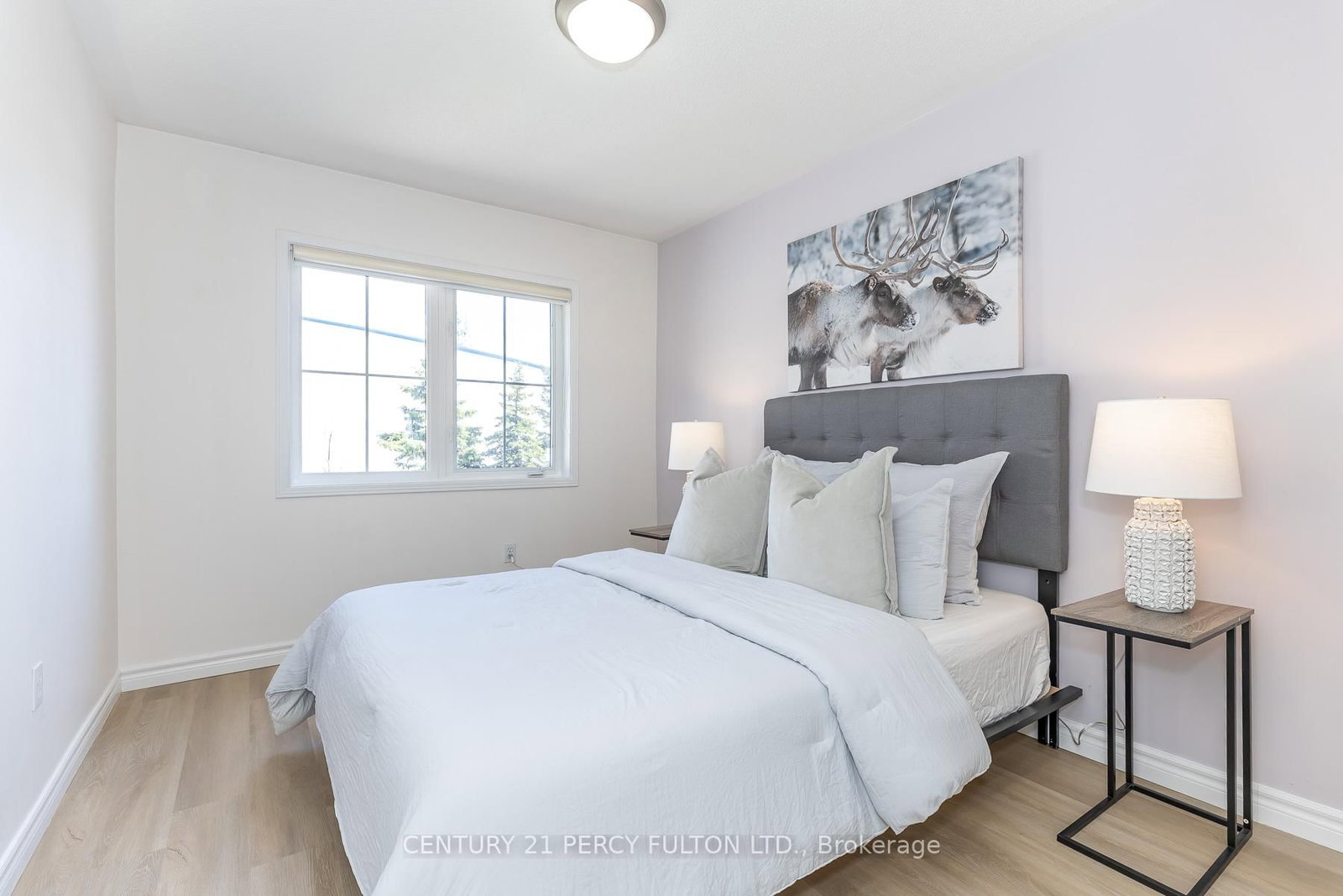 47 Harrongate Place - Photo 29