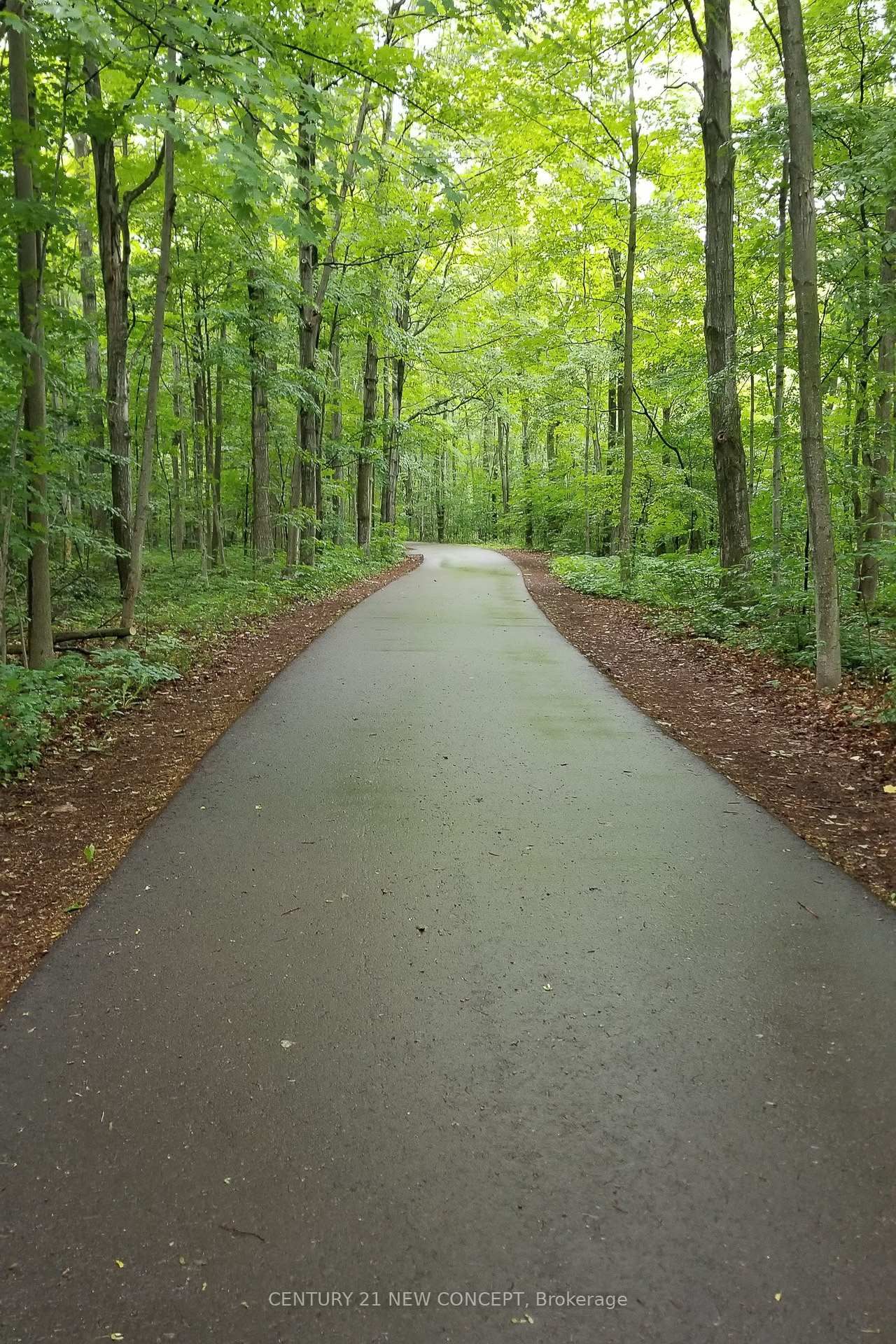 104 Christine Elliott Avenue - Photo 48