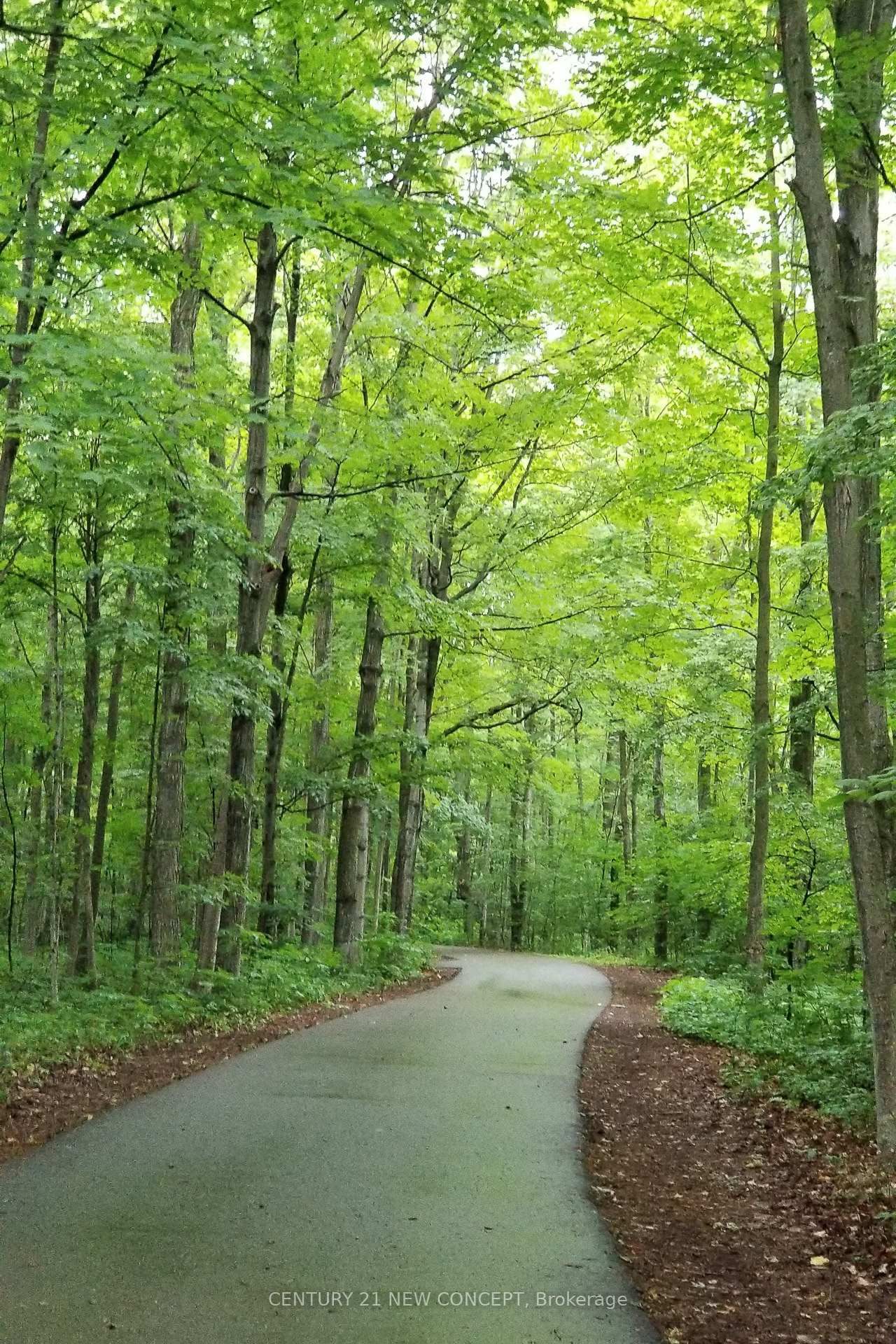 104 Christine Elliott Avenue - Photo 49