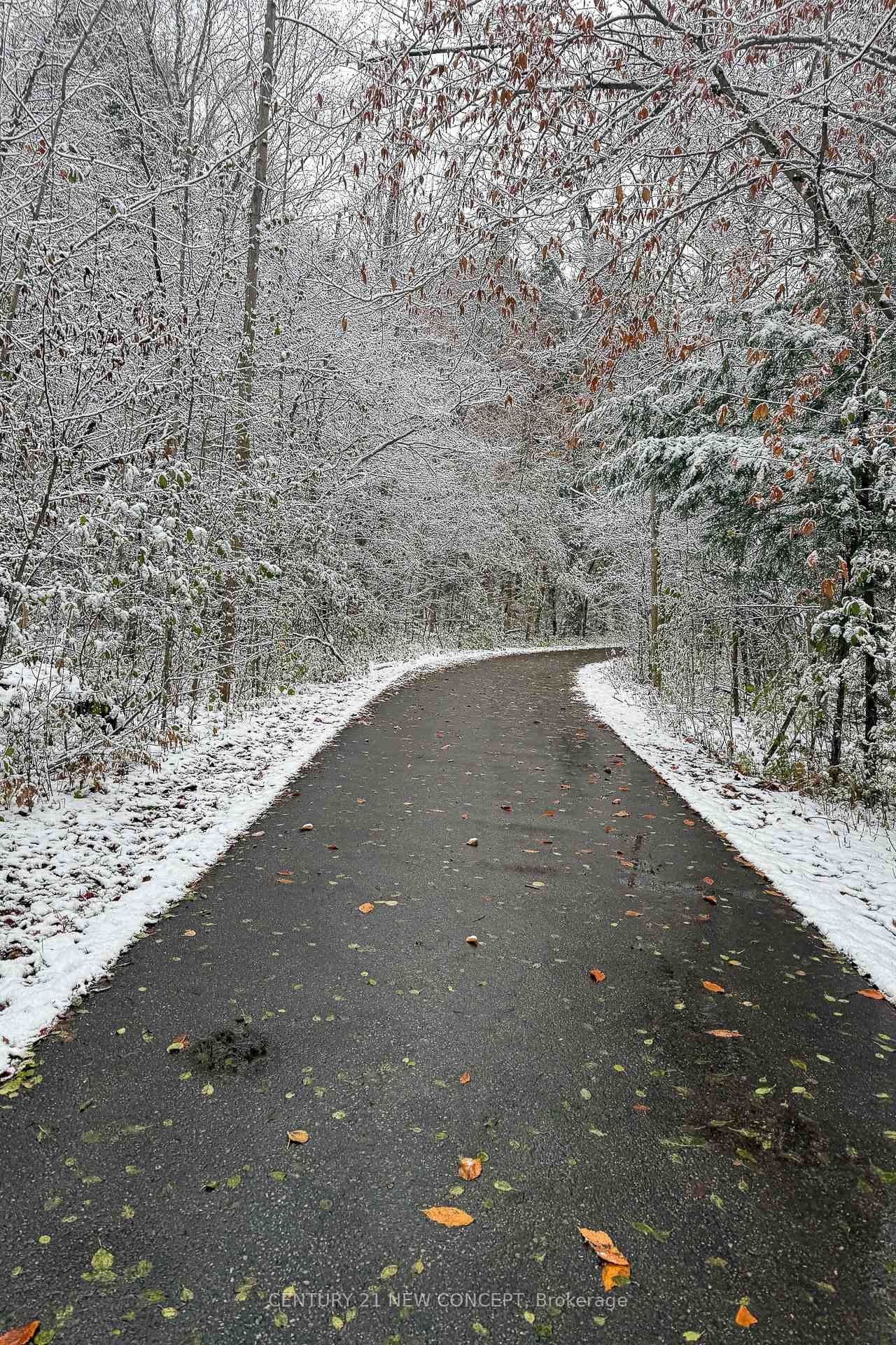 104 Christine Elliott Avenue - Photo 50