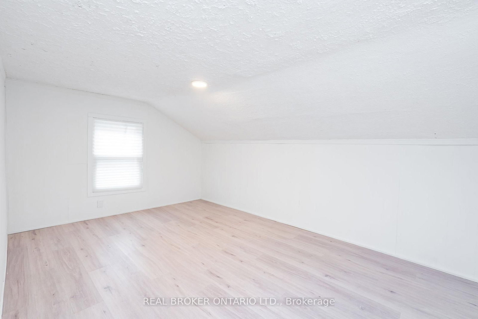 38 Bruce Street - Photo 32