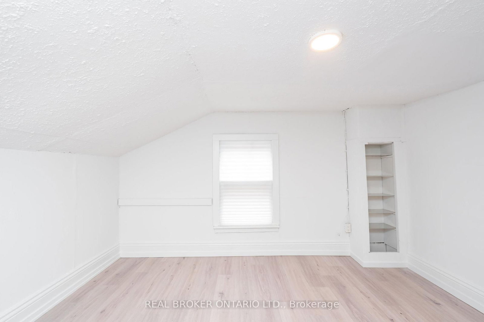 36 & 38 Bruce Street - Photo 30