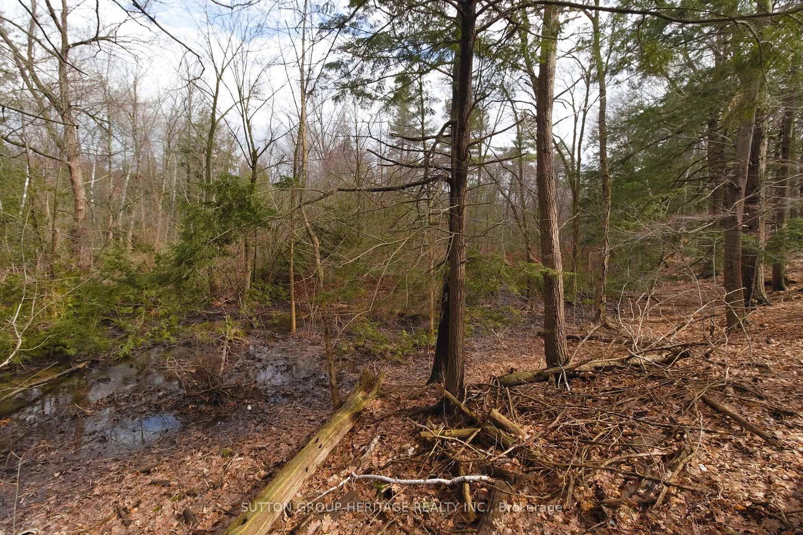 Detached House for sale at 876 Darwin Drive, Pickering, Ontario, L1X 2P8 - Dunbarton - MLS: E13002342