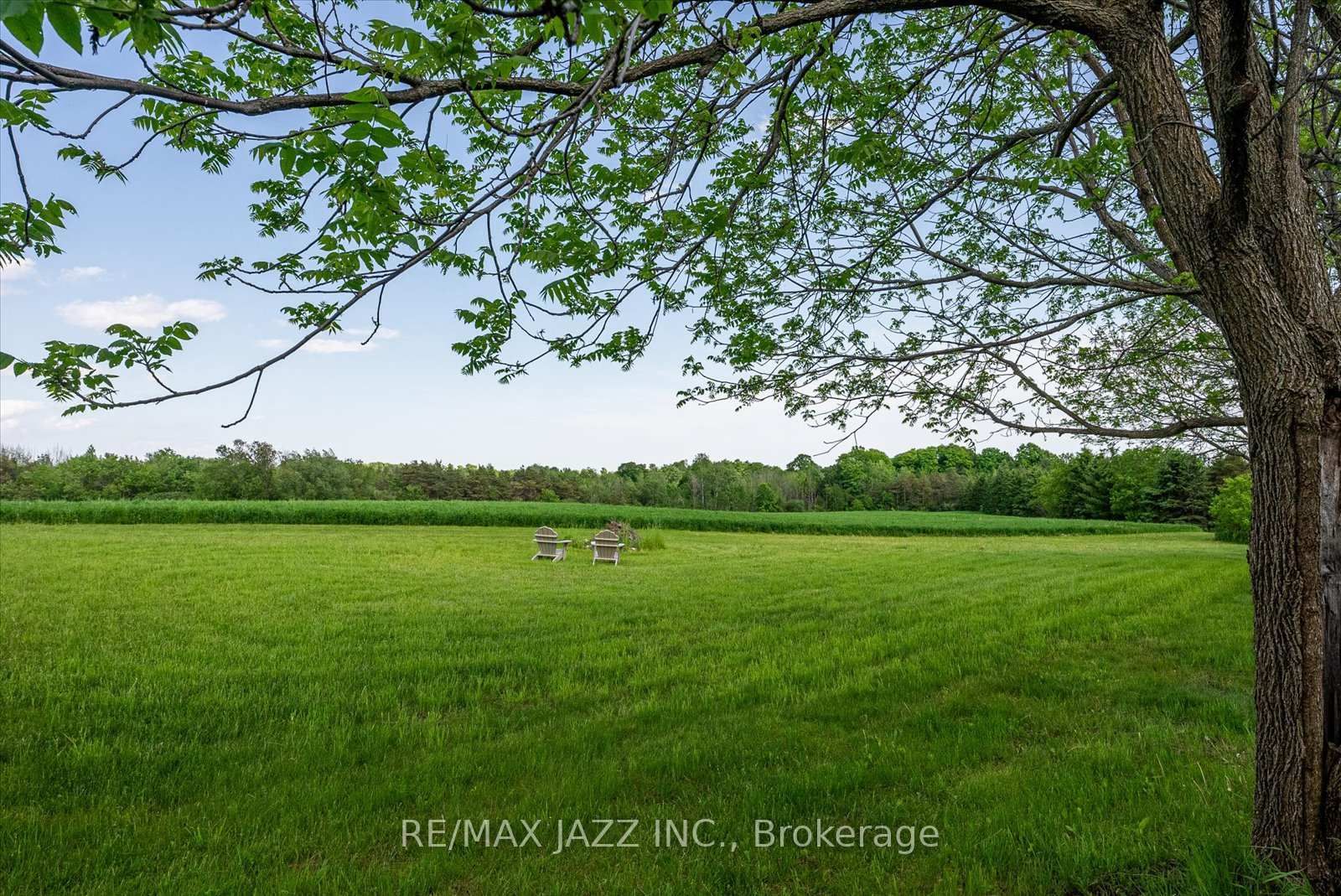 8733 Leskard Road - Photo 27