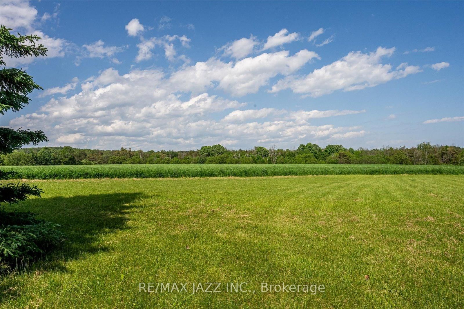 8733 Leskard Road - Photo 28