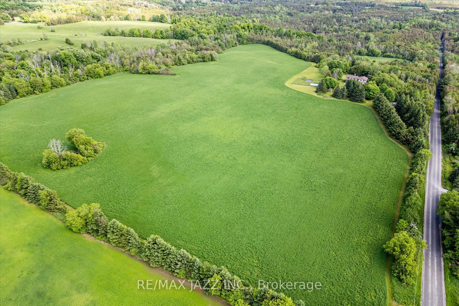 8733 Leskard Road - Photo 33