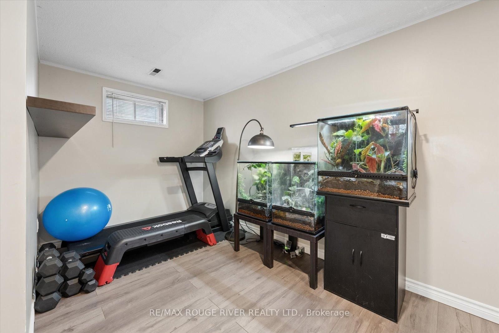 43 Ormond Drive - Photo 14