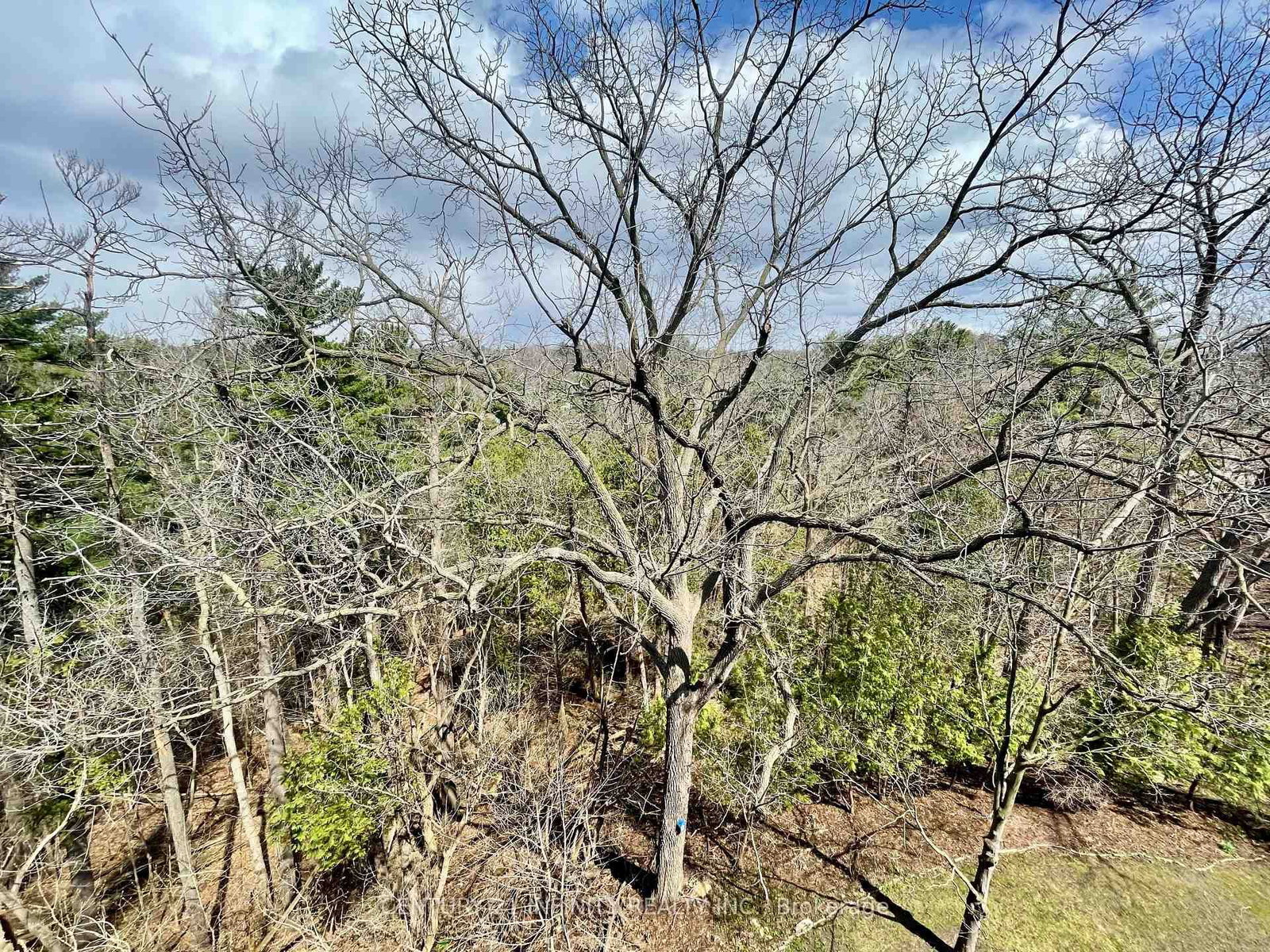 50 Old Kingston Road, Unit 5-606 - Photo 12